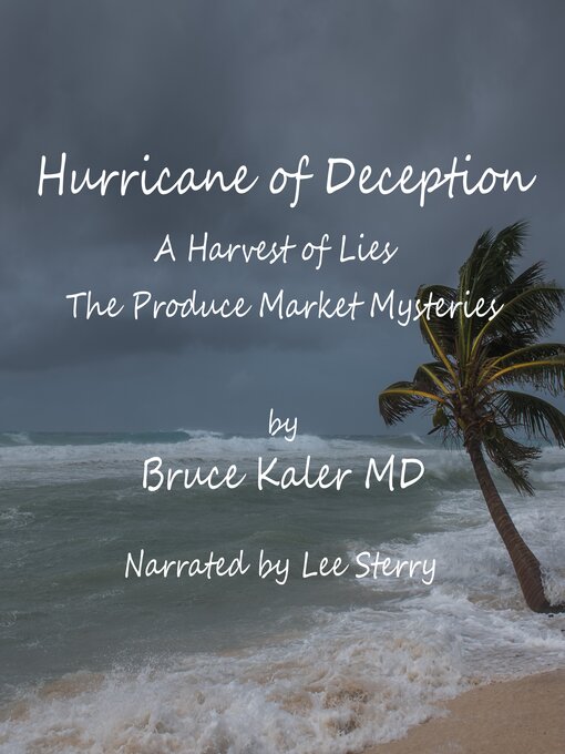 Title details for Hurricane of Deception by Bruce Kaler MD - Wait list